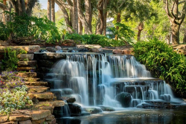 Sawgrass Marriott Golf Resort & Spa image 12