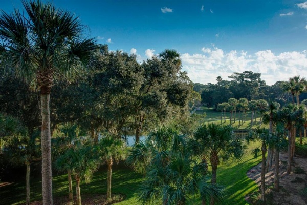 Sawgrass Marriott Golf Resort & Spa image 26